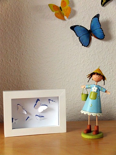 A framed set of butterflies