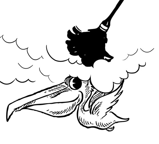 Dusting the Pelican